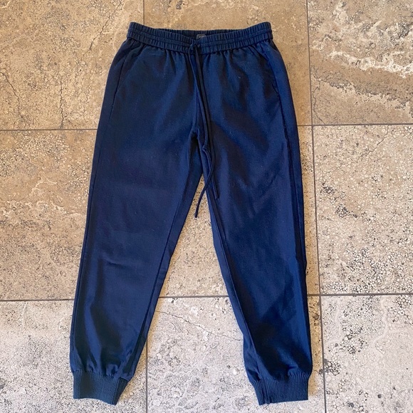 J Crew Blue Jogger Style Wool Pants (NWOT)